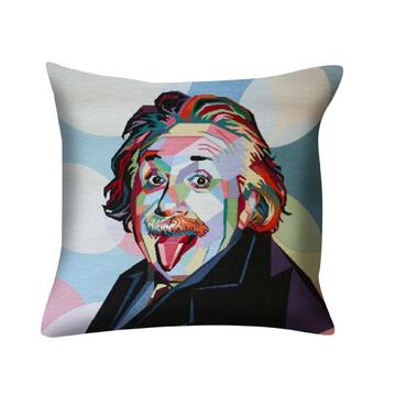 Federa Cuscino Legends 45x45 cm - Einstein