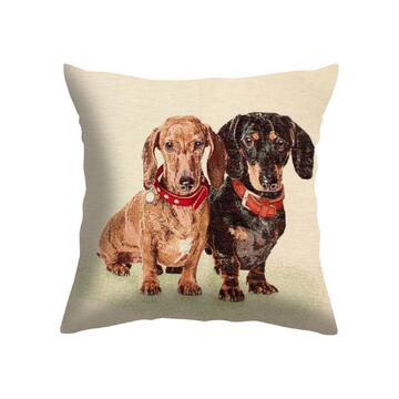 Federa Cuscino Zampa 45x45 cm - Fantasia Bassotti