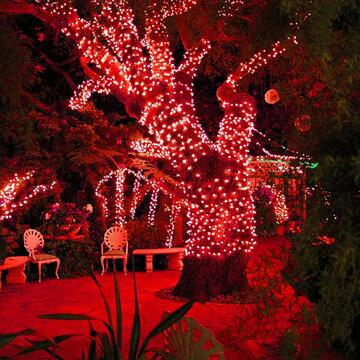 180 Luci Led Rossi di Natale - mt 9+5 cavo - per Interno... - Marino Fa Mercato