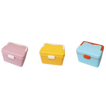 Box in Plastica Colorata 22x16 cm - Porta Medicine/ Porta Oggetti da Viaggio - Colori Assortiti