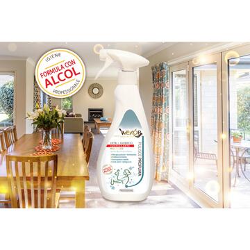 Wexor Spray Igienizzante Vetri e Superfici 750 ml