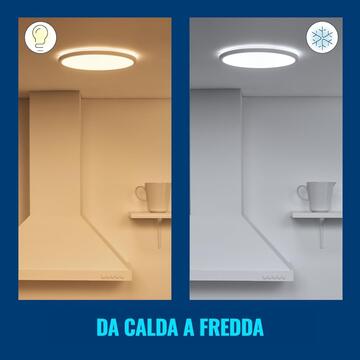 WiZ Plafoniera Superslim Smart 29 cm, WiFi, Luce Bianca... - Marino Fa Mercato