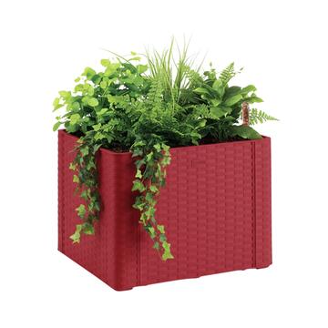 Fioriera Quadrata Rossa Natural 43x43 h33 cm con Riserva... - Marino Fa Mercato