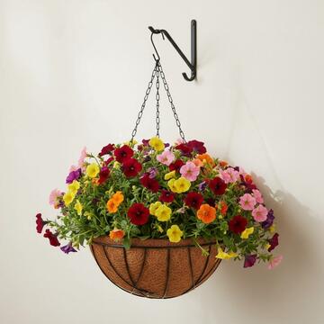 Fioriera Cocco Sospesa Rotonda d 25,5 cm - per Terrazza, Veranda, Balcone e Giardino