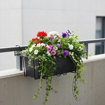 Balconiera/Porta Vaso Sospeso Style 52x18,5 h27 cm in Ferro Verniciato Nero - per Terrazza, Balcone, Finestra