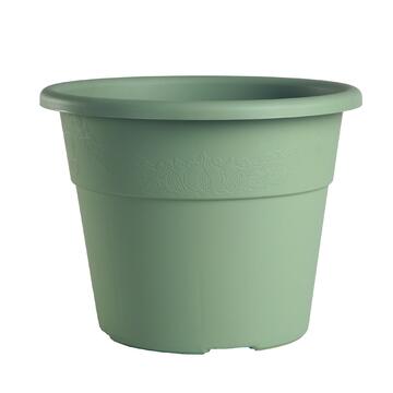 Vaso Hedera 20 verde