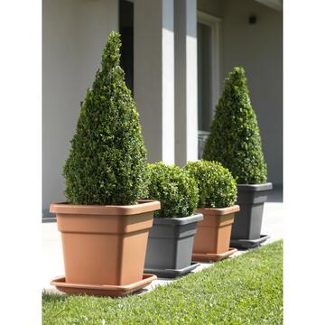 Maxi sottofioriera 32 X 32 cotto