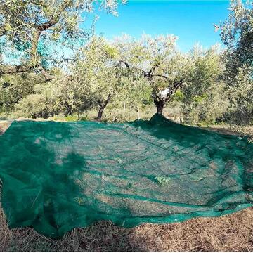 Telo Rete Raccolta Olive Antispina 6x6 mt - Angoli... - Marino Fa Mercato