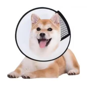 Cono Collare Elisabettiano in Plastica 74x37 cm per Animali Domestici