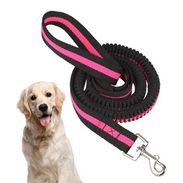 Guinzaglio Estensibile 1,2 mt per Jogging e Passeggiate - Colori Assortiti