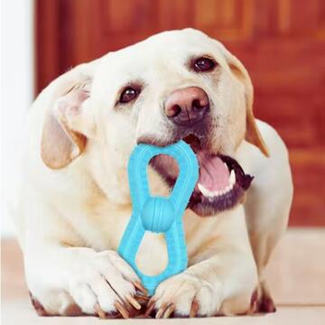 Gioco per Cani 15x6 cm da Masticare - Gioco Interattivo in Gomma Spinata - per la Dentizione - Colori Assortiti