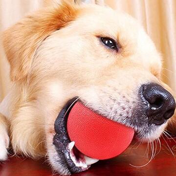 Palla 7 cm per Cane e Animali Domestici - Gioco Interattivo - Formazione Dentale